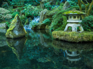 A lantern and koi in the Portland Japanese Garden in Oregon
