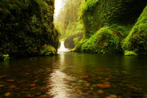 Punchbowl falls